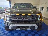 Thumbnail of 2025 Green Ford F-150