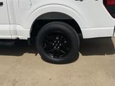 Thumbnail of 2025 Oxford White Ford F-150