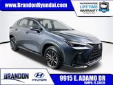 Photo of 2023 Cloudburst Gray Lexus NX 350