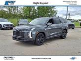 Photo of 2025 Steel / Graphite Hyundai PALISADE