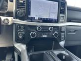 Thumbnail of 2022 Carbonized Gray Ford F-150