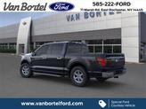 Thumbnail of 2025 Agate Black Ford F-150