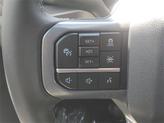 Thumbnail of 2025 Black Ford F-150