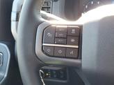 Thumbnail of 2025 Gray Ford F-150