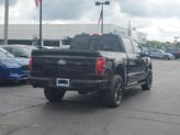 Thumbnail of 2025 Black Metallic Ford F-150