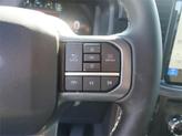 Thumbnail of 2025 Black Metallic Ford F-150