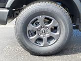 Thumbnail of 2025 Shadow Black Ford Bronco