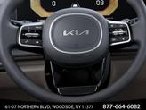 Thumbnail of 2025 Panthera Metal Kia Carnival