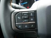 Thumbnail of 2023 Agate Black Metallic Ford F-150