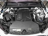 Thumbnail of 2025 Glacier White Metallic Audi Q5