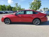 Thumbnail of 2025 Radiant Red Metallic Honda Accord Hybrid