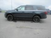 Thumbnail of 2024 Stone Blue Metallic Ford Expedition
