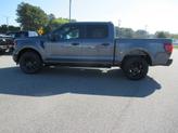 Thumbnail of 2025 Carbonized Gray Metallic Ford F-150