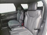 Thumbnail of 2024 Typhoon Silver Hyundai PALISADE