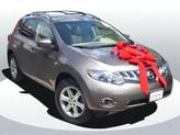 Thumbnail of 2009 Beige Nissan Murano