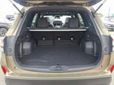 Thumbnail of 2025 Autumn Subaru Forester