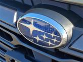 Thumbnail of 2025 Autumn Subaru Outback