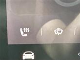 Thumbnail of 2022 Pearl White Multi-Coat Tesla Model Y