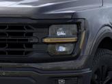 Thumbnail of 2025 Agate Black Metallic Ford F-150