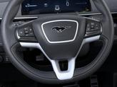 Thumbnail of 2025 Shadow Black Ford Mustang Mach-E
