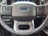Thumbnail of 2022 Carbonized Gray Metallic Ford F-150