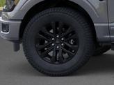 Thumbnail of 2025 Carbonized Gray Metallic Ford F-150