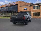 Thumbnail of 2025 Agate Black Metallic Ford F-150