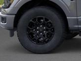 Thumbnail of 2025 Carbonized Gray Metallic Ford F-150