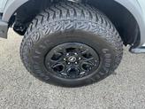 Thumbnail of 2024 Cactus Ford Bronco