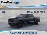 Photo of 2025 Agate Black Metallic Ford F-150