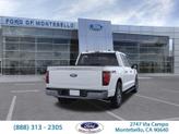 Thumbnail of 2025 Oxford White Ford F-150