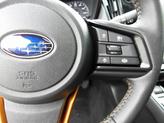 Thumbnail of 2025 Gray Metallic Subaru Outback