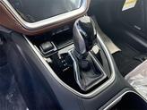 Thumbnail of 2025 Autumn Subaru Outback
