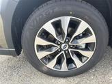 Thumbnail of 2025 Autumn Subaru Outback