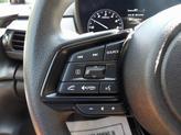 Thumbnail of 2024 Pure Red Subaru Crosstrek
