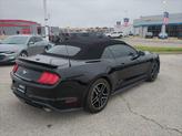 Thumbnail of 2023 Shadow Black Ford Mustang