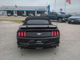 Thumbnail of 2023 Shadow Black Ford Mustang