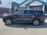 Thumbnail of 2020 Plum Hyundai PALISADE