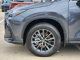 Thumbnail of 2026  Lexus NX 350