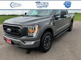 Thumbnail of 2021 Gray Ford F-150