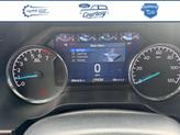 Thumbnail of 2021 Gray Ford F-150