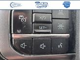 Thumbnail of 2021 Gray Ford F-150