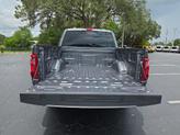 Thumbnail of 2024 Carbonized Gray Metallic Ford F-150