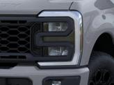 Thumbnail of 2025 Avalanche Ford F-250