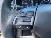 Thumbnail of 2022 Cactus Fern Hyundai KONA