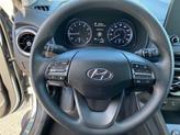 Thumbnail of 2022 Cactus Fern Hyundai KONA