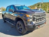 Thumbnail of 2024 Dark Ash Metallic Chevrolet Silverado 1500