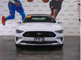 Thumbnail of 2023  Ford Mustang