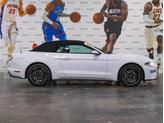 Thumbnail of 2023  Ford Mustang