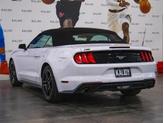 Thumbnail of 2023  Ford Mustang